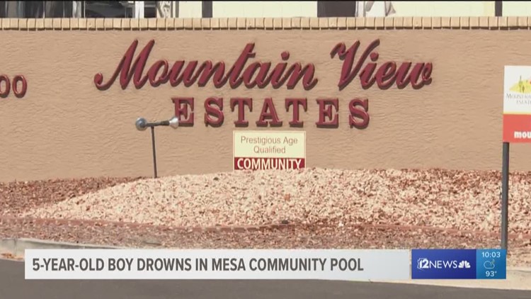 5-year-old boy dies after being pulled from pool