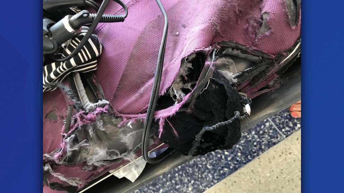 American Airlines Apologizes After Shredded Suitcase Greets Passenger