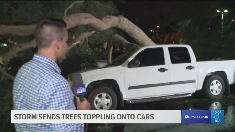 storm sends trees toppling onto cars in scottsdale