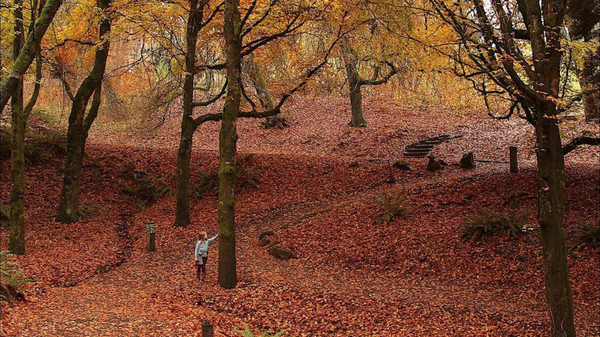 Monday is the first day of fall, and you may be feeling your mood start to shift along with the weather.