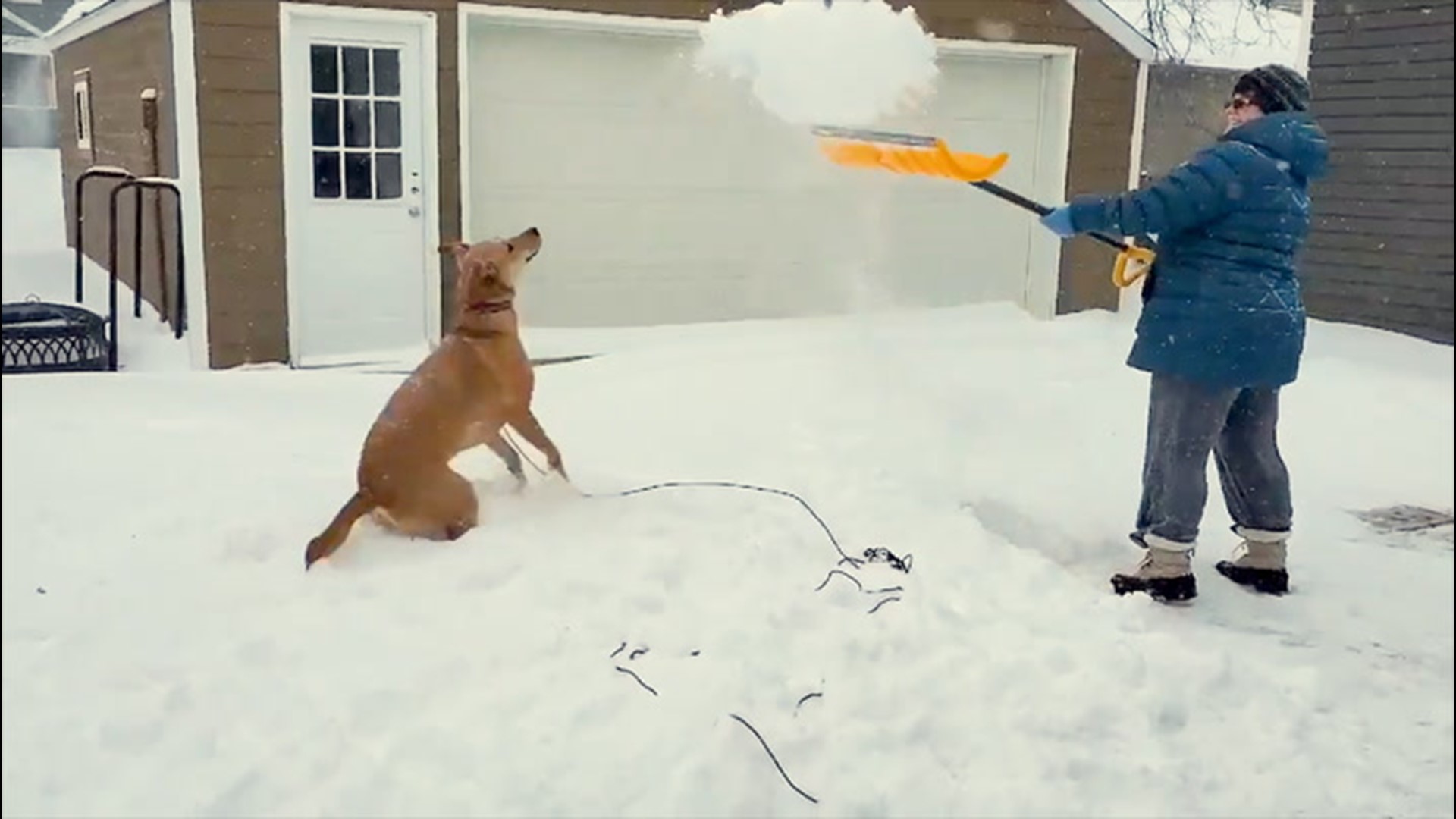 While the residents of Luverne, Minnesota, were stuck shoveling snow on Jan. 16, all one dog wanted to do was play.