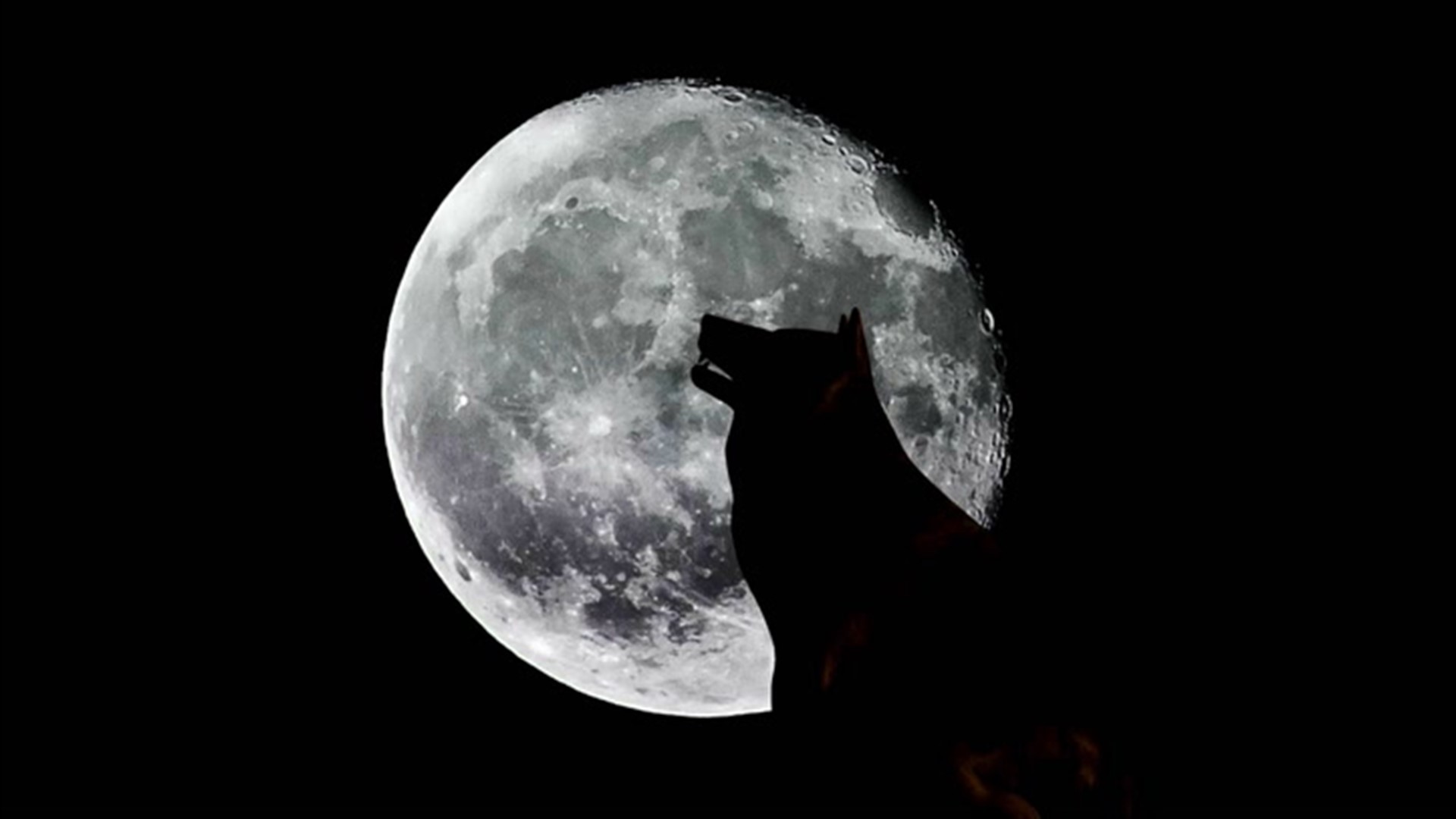 La primera luna llena del 2021, la Luna del Lobo | 12news.com