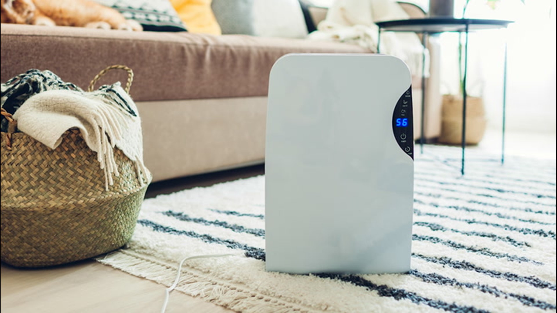 How dehumidifiers can help keep you cool