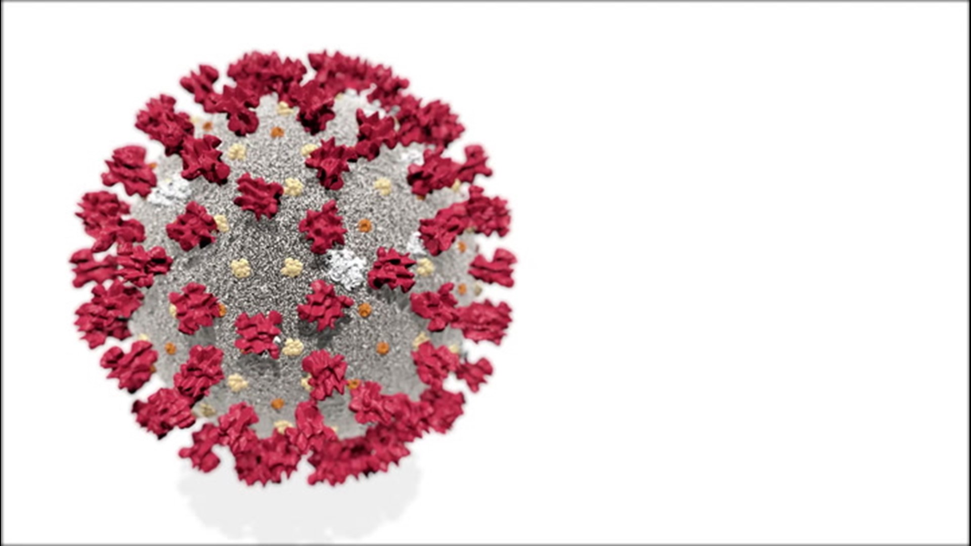 AccuWeather answers some of the most asked questions about the coronavirus.
