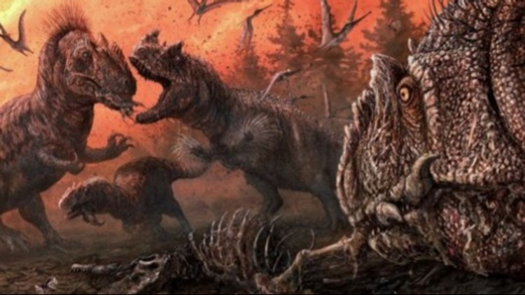 How Bite Marks From Dinosaurs Revealed Something Very Interesting