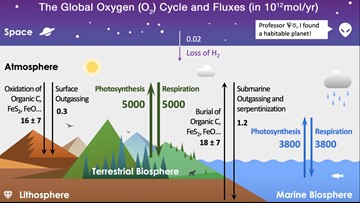 How Do You Spell Oxygen >> Verify Is The Amazon Forest Responsible For 20 Of The How Do You Spell Oxygen >> Verify Is The Amazon Forest Responsible For 20 Of The