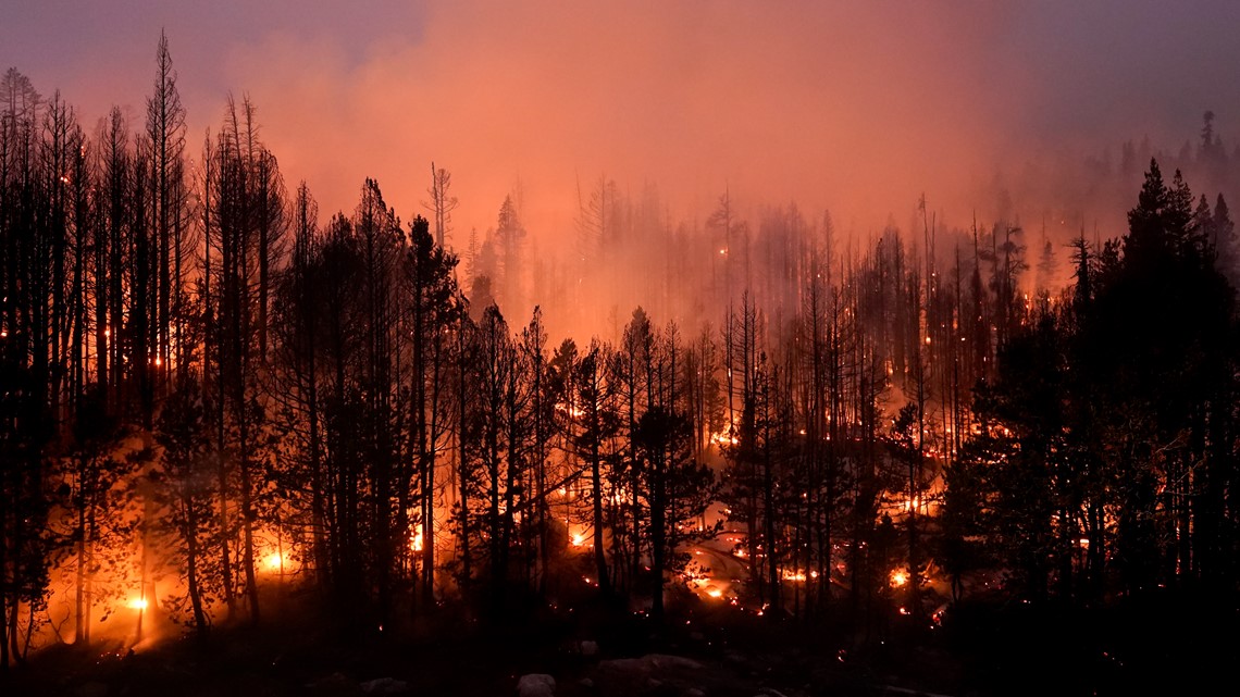 Bagaimana AS berencana untuk memerangi kebakaran hutan di mana hutan bertemu pinggiran kota