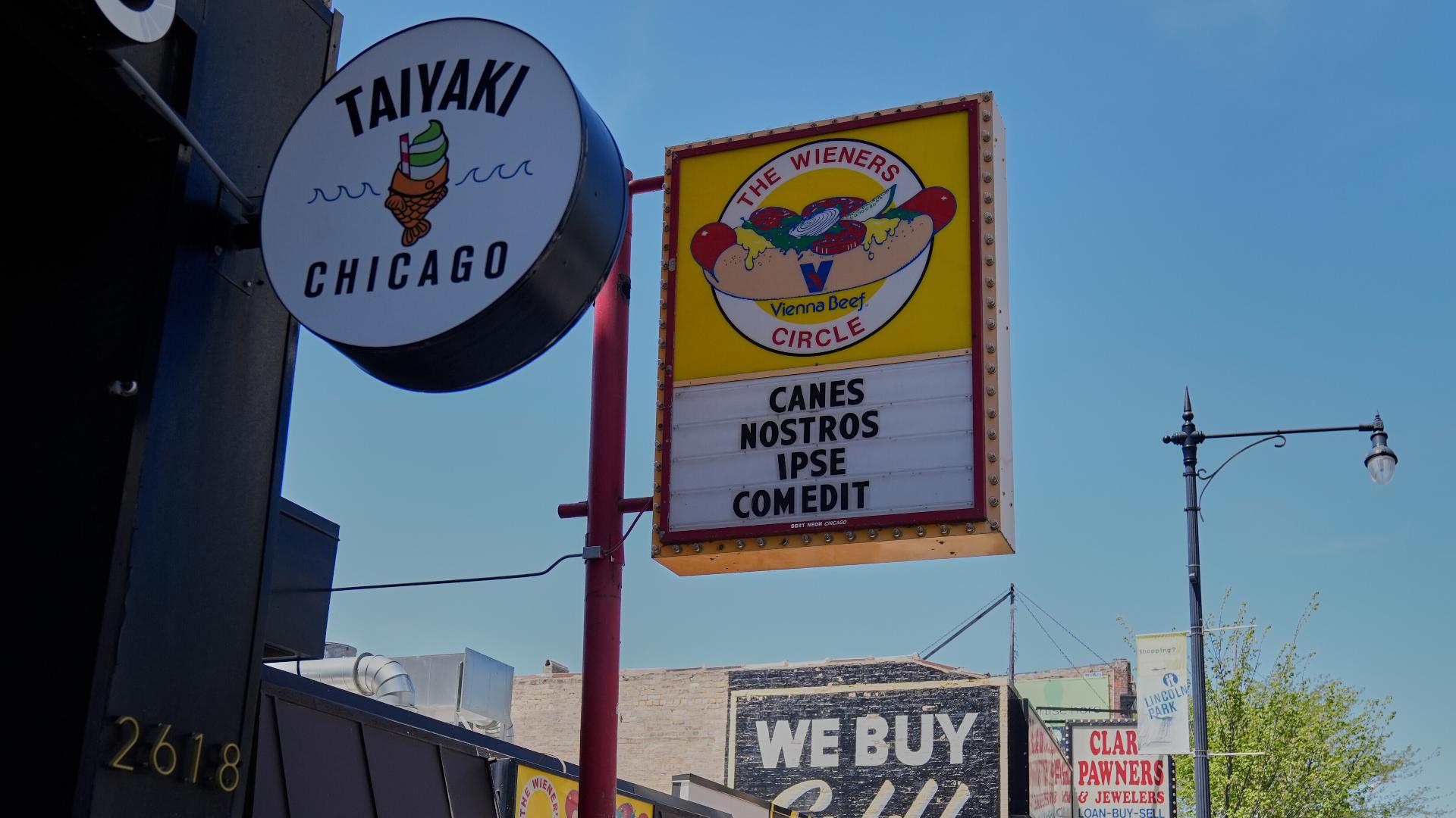 Chicago celebrates hometown pope with endless memes and jokes New Pope 2025 26