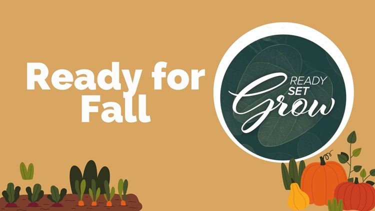 Ready, Set, Grow |  Getting ready for fall