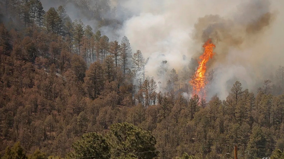 Kebakaran hutan New Mexico hari ini: 2 tewas, 5.000 dalam evakuasi