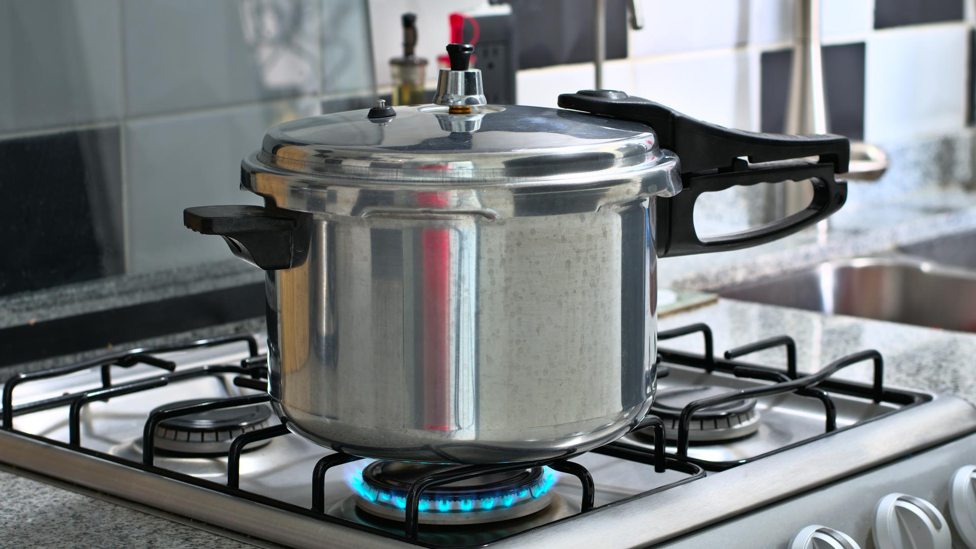 Stop using this Power Quick Pot pressure cooker immediately, CPSC warns ...