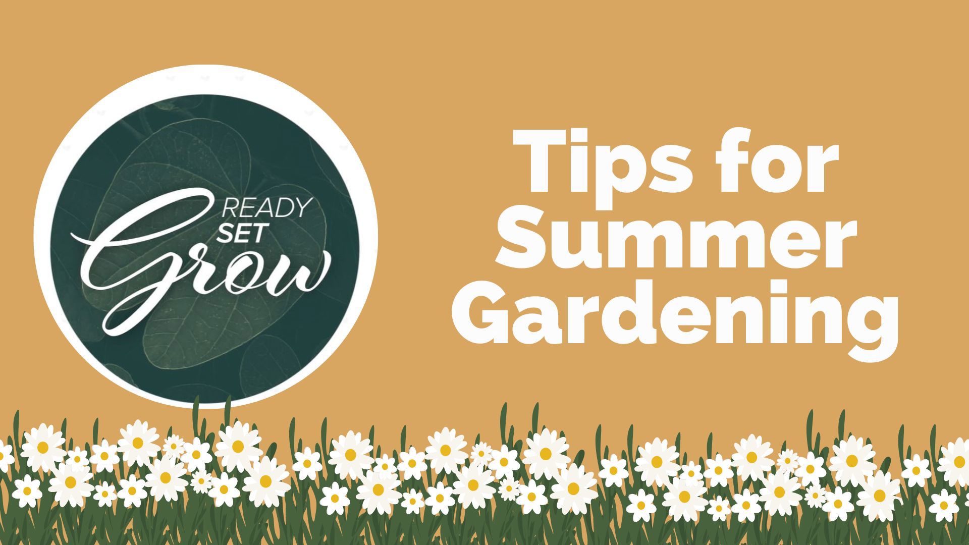 Summer is here and that means time to get out into the garden. Tips on how to keep your yards and gardens healthy in the heat, when to water plants and more.