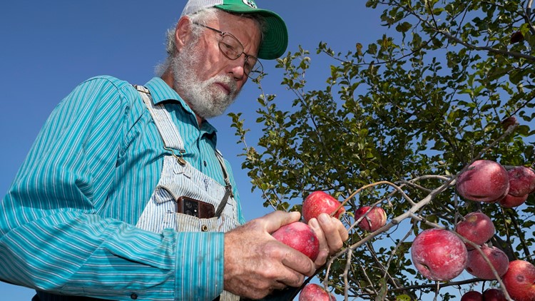 More consumers buying organic, but US farmers still wary