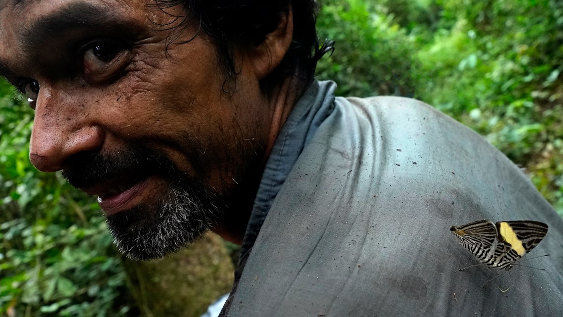 Better treatment of farmers, soil can help save Amazon rainforest - Vimarsana News