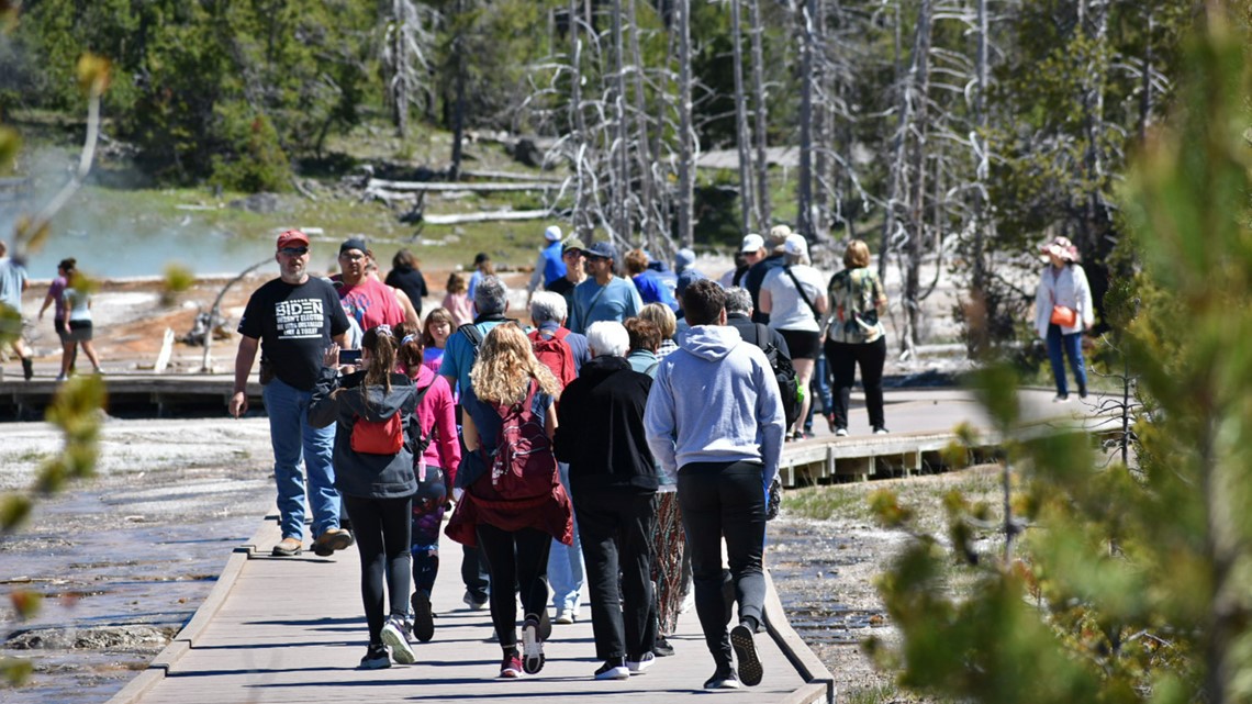 Kapan Yellowstone dibuka kembali?  |  12news.com