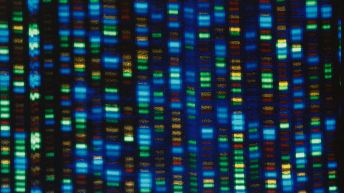 Human genome decoded fully | 12news.com - Vimarsana News