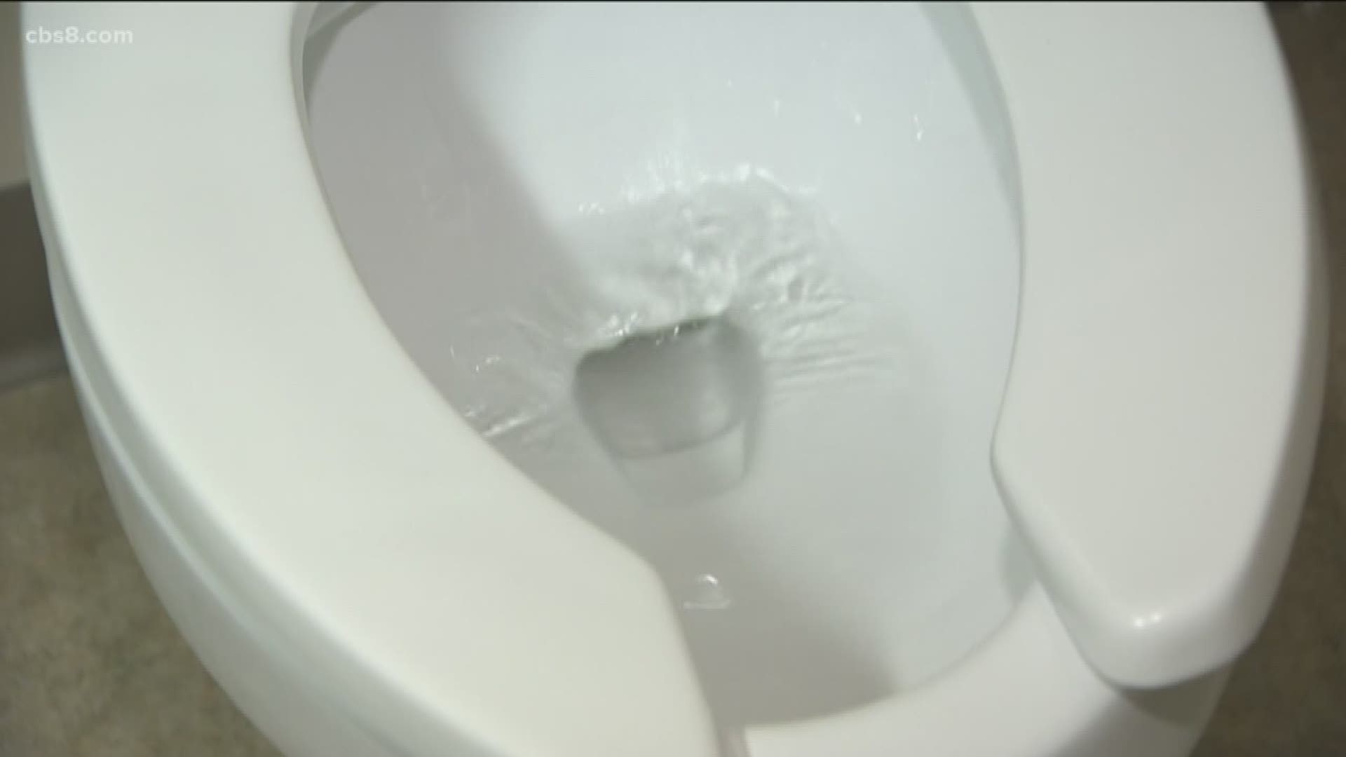 If the grocery store is out of toilet paper, be careful what you flush down the toilet.