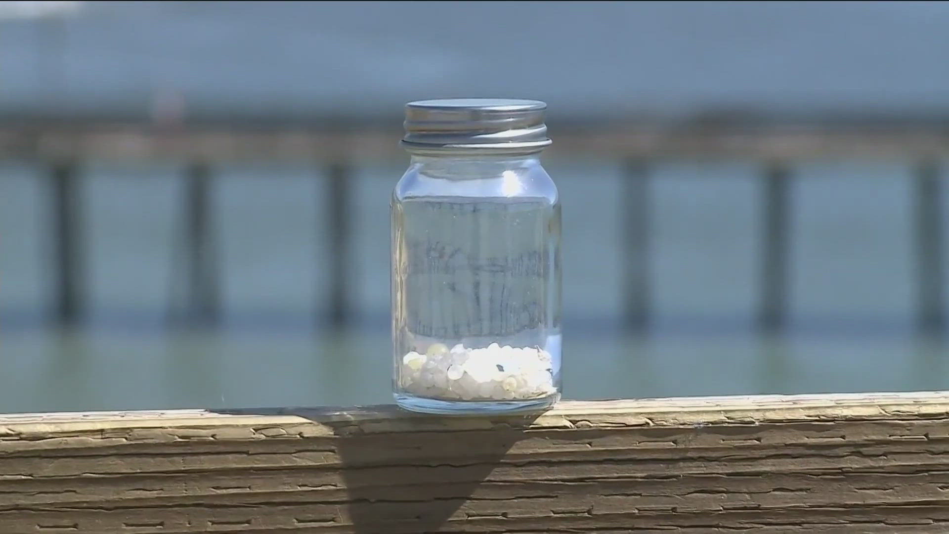 Plastic pellets called nurdles are often found mixed in with the sand at our local beaches and are causing big issues in our ecosystem.