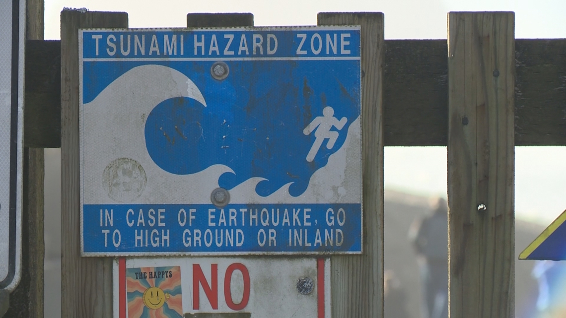 Recent tsunami cases