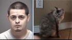 Police: 4-year-old fires AK-47 as dad fatally stabs cat