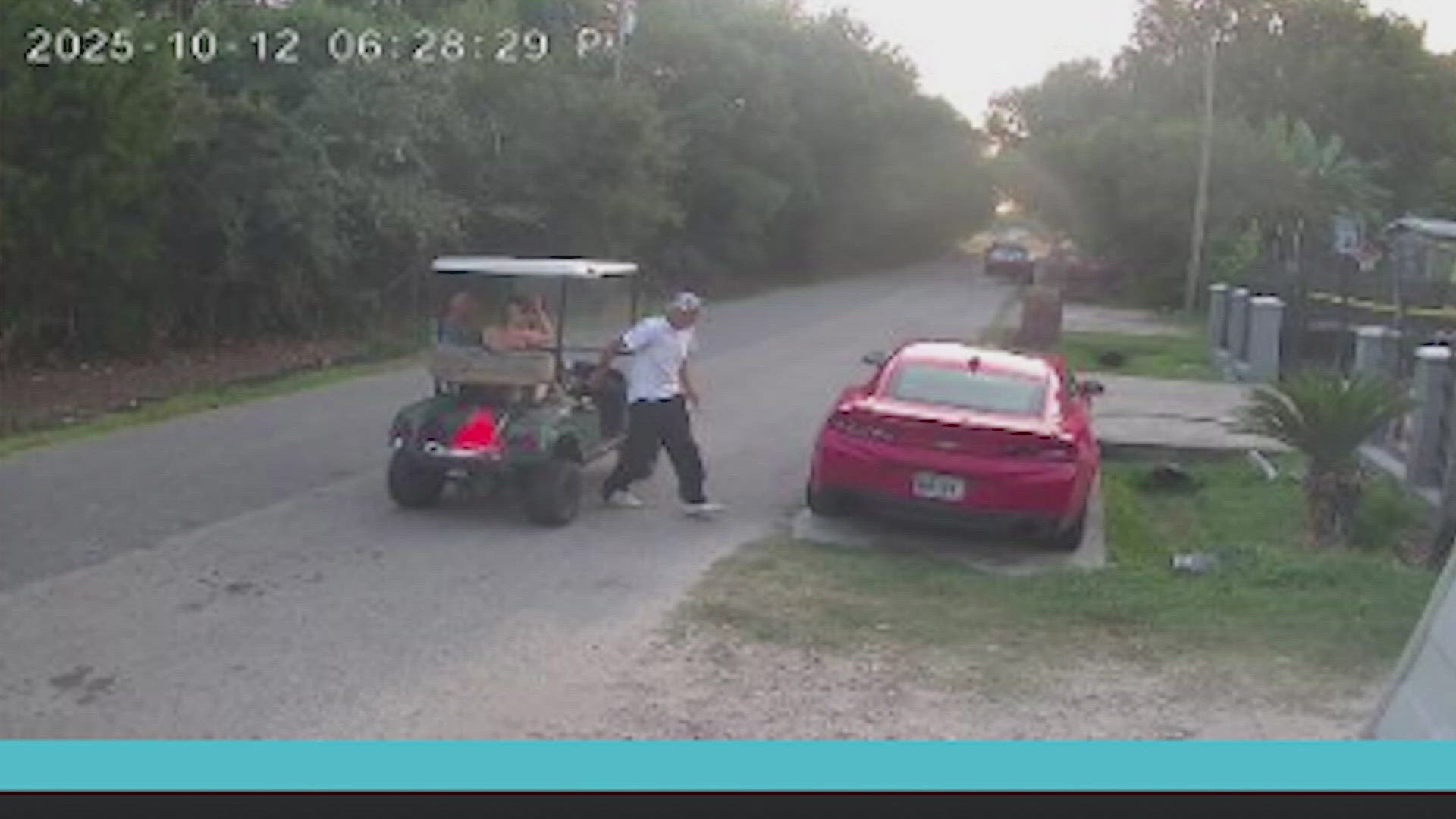 Sheriff's deputies had to shoot the dogs to get them to stop. It was too late. 