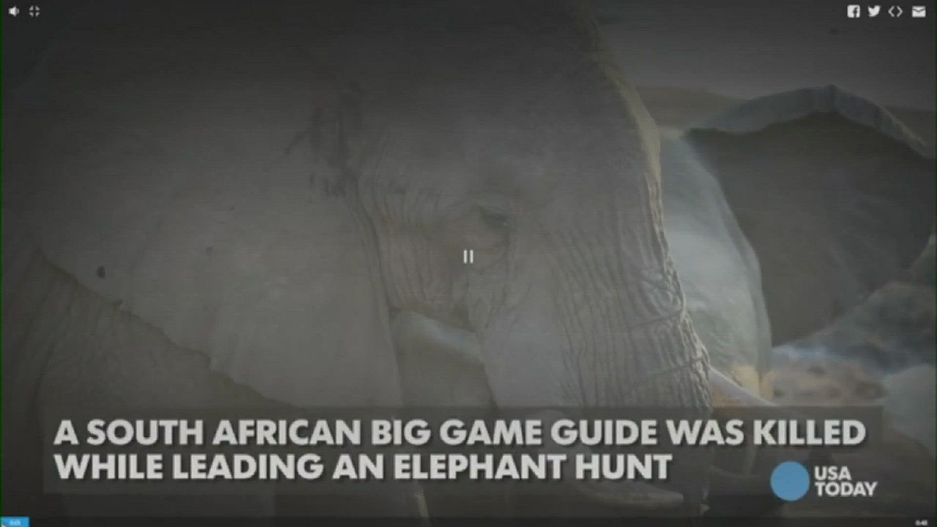 A South African big game guide was killed while leading an elephant hunt.