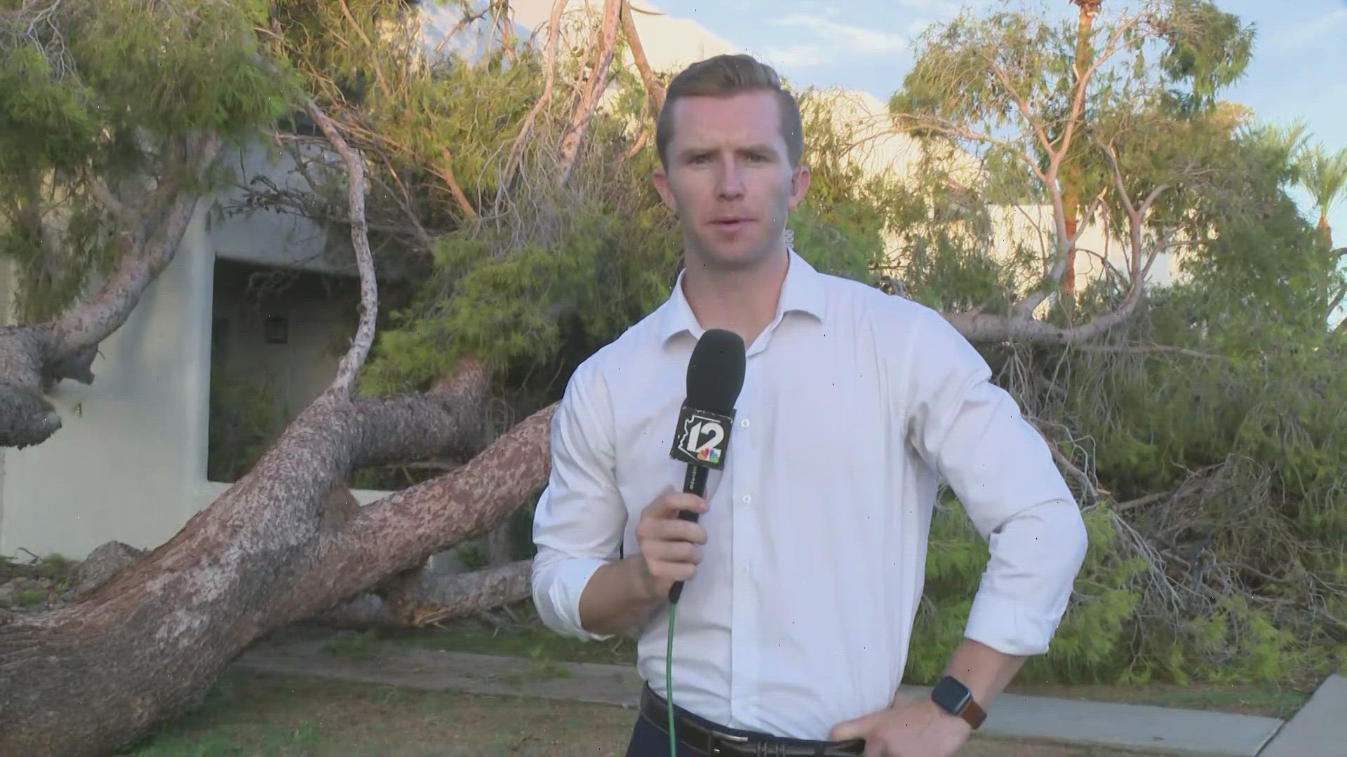 A monsoon storm Tuesday evening left some damage in the McCormick Ranch area in Scottsdale. Here's a look at the damage.