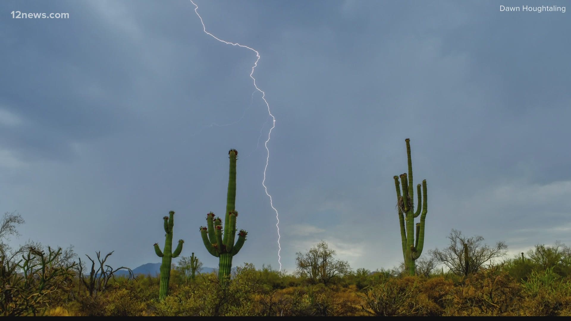 Monsoon 2021 is picking up. Storms hit the Valley on Wednesday bringing heavy rain, thunder and lightning. 0.17 of an inch of rain fell at Sky Harbor Airport.