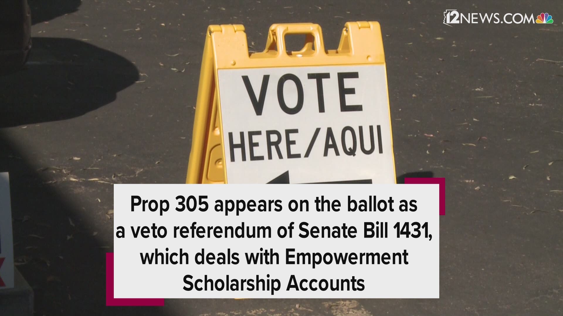 On Nov. 6, Arizonans will vote "yes" or "no" on Proposition 305. We break down both sides of Arizona's Prop 305.