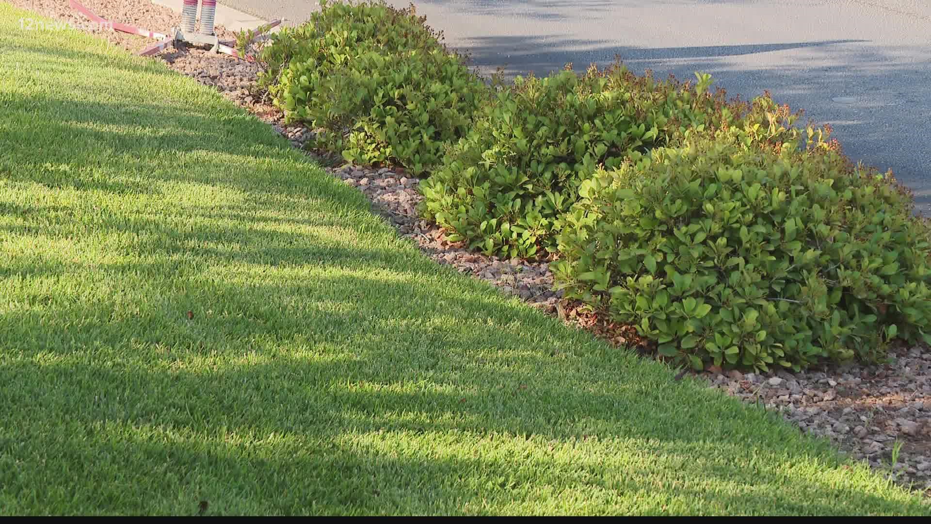 To save water conservation experts are suggesting Arizona get rid of grass found on the sides of roads, in medians and decorating the front of office complexes.