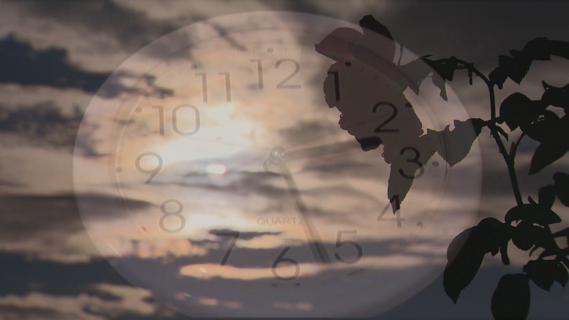 Here's why Arizona doesn't observe daylight saving time. 