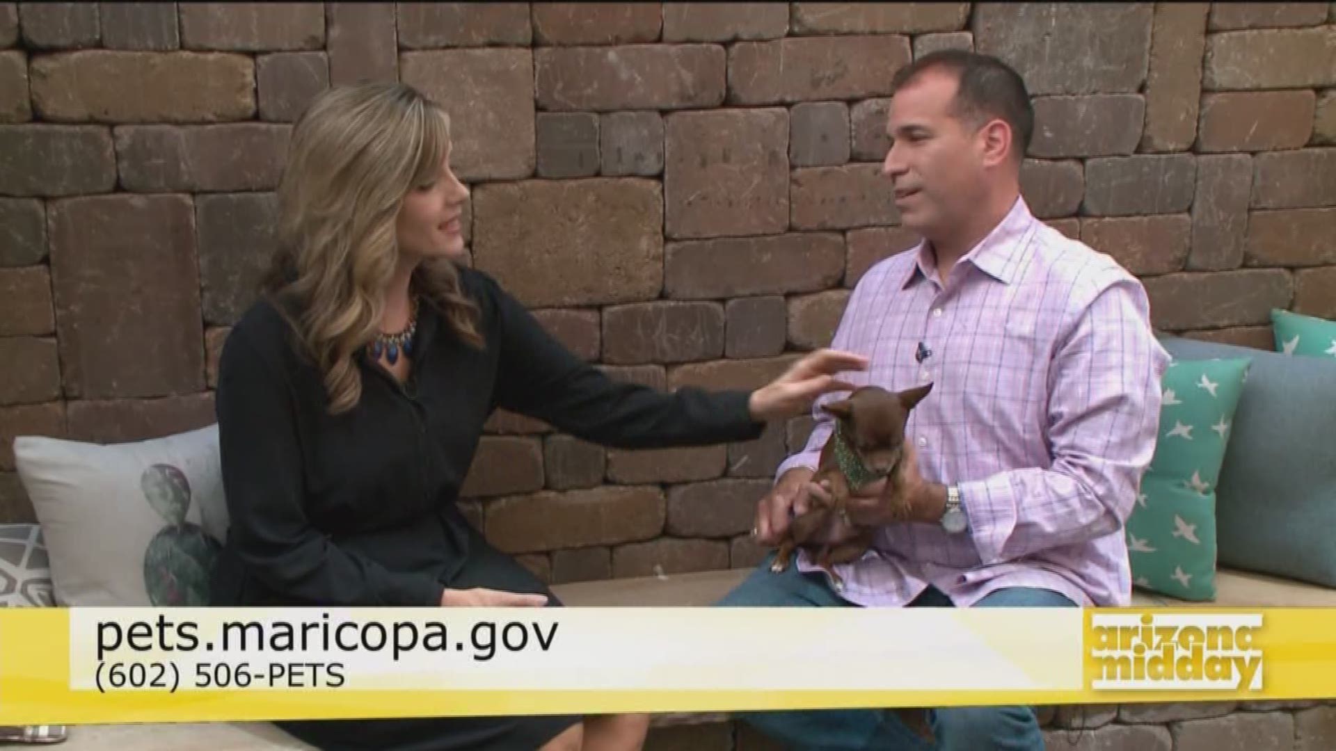 When the kids head back to school, there could be the pawsibility of problems including boredom with your pups. Jose Santiago with Maricopa County Animal Care and Control shares how to be beat the puppy blues