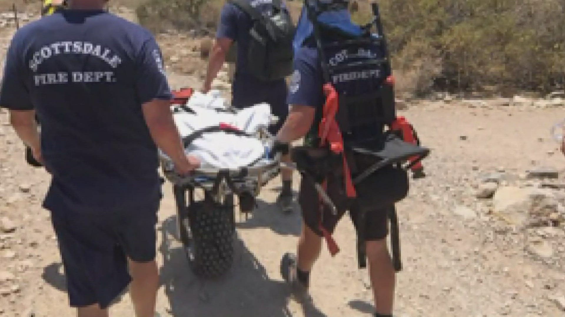 A dog died from heat exhaustion after a family hike in Scottsdale.