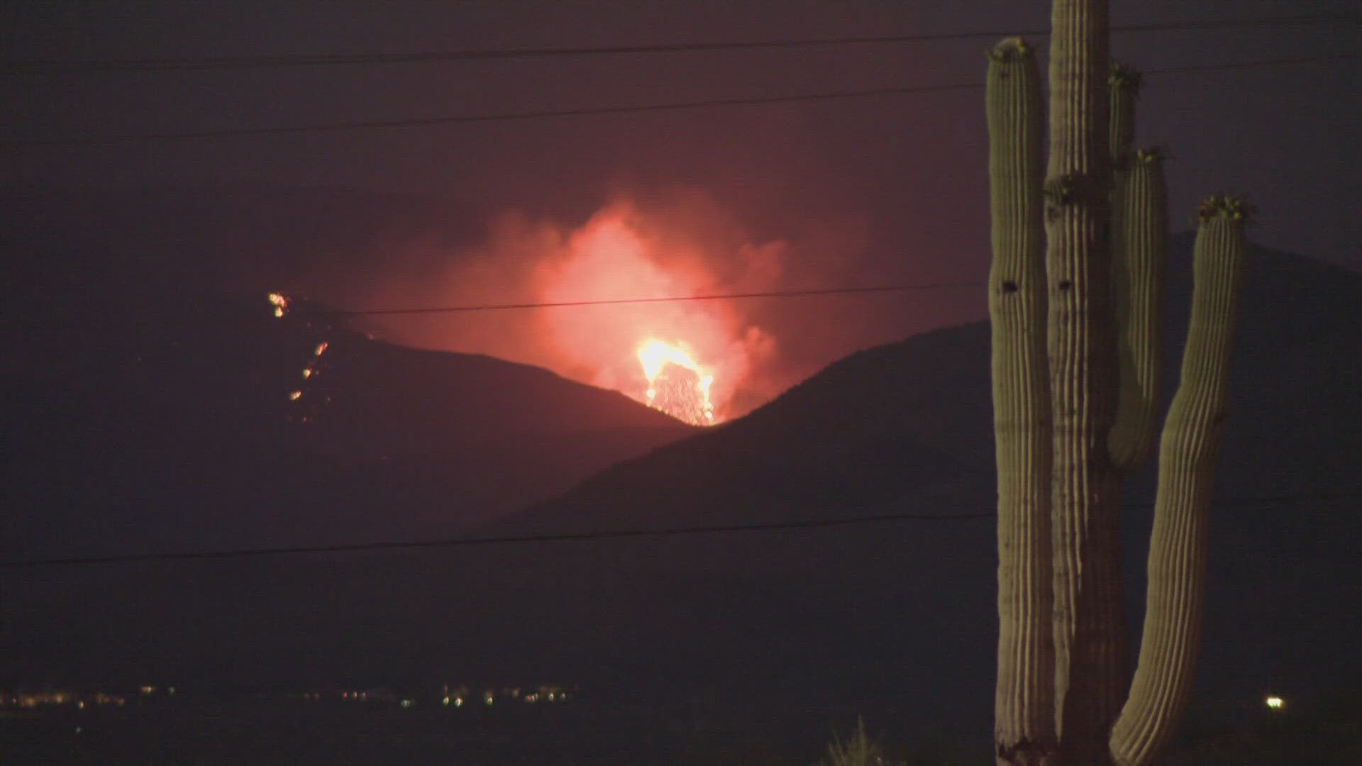 Invasive species are believed to be increasing fire intensity across the Sonoran Desert.