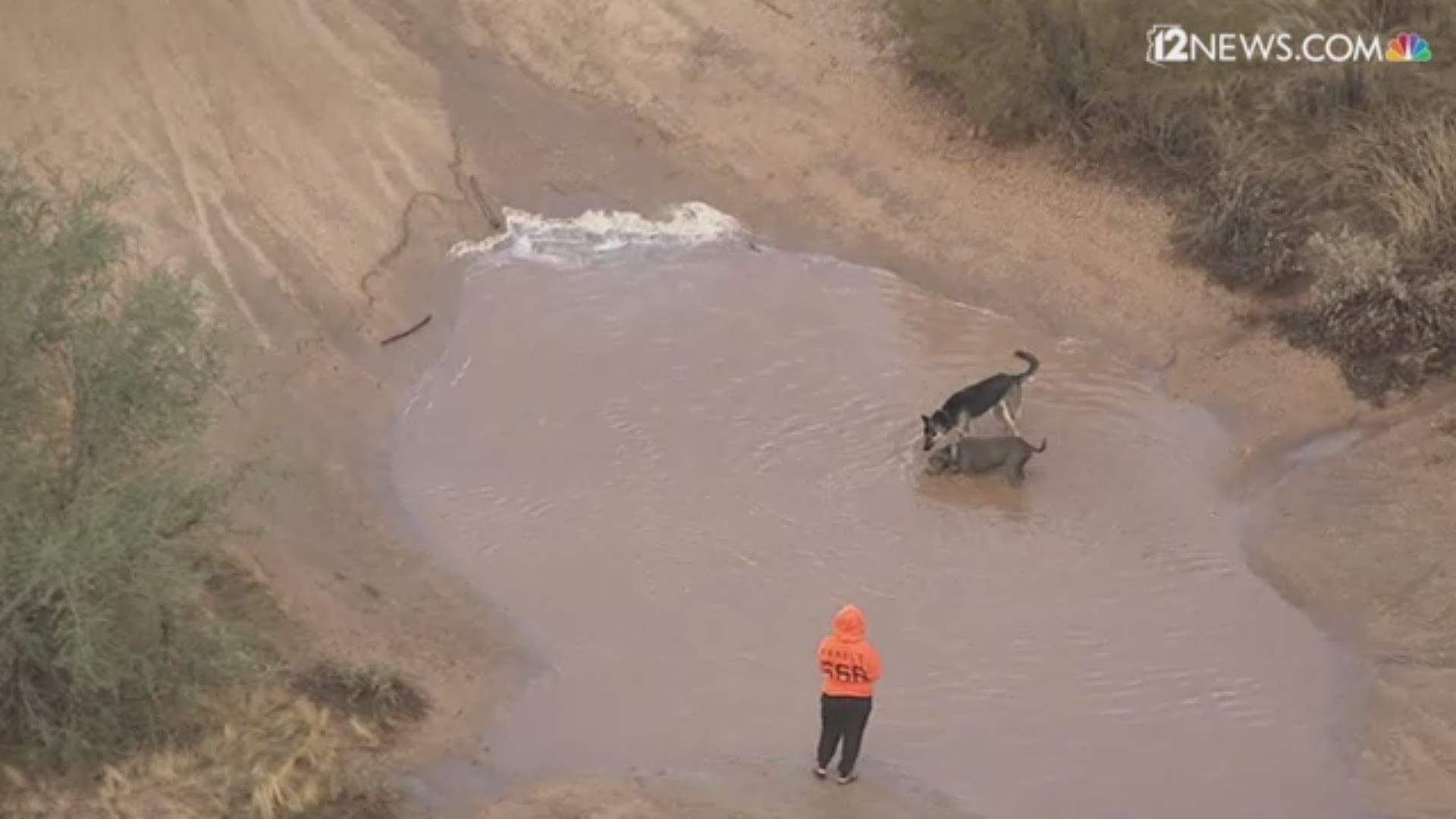 Sky 12 was over 12 News Wednesday morning when it caught two dogs enjoying the cloudy, rainy weather. Not only did they play in a huge puddle they got to play fetch.