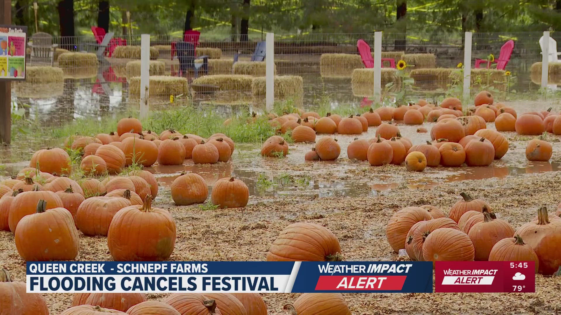 It's the first time in 29 years that the festival has been closed. 