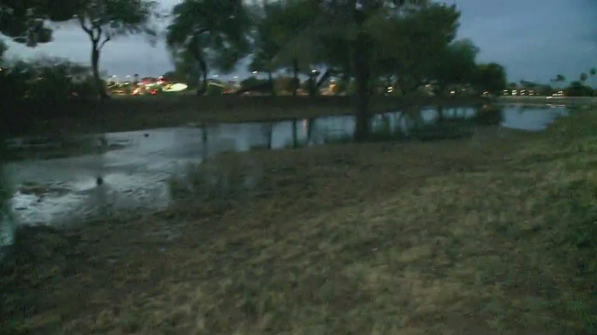 Monsoon storms damage vehicles, trees, across the Valley Sunday night ...