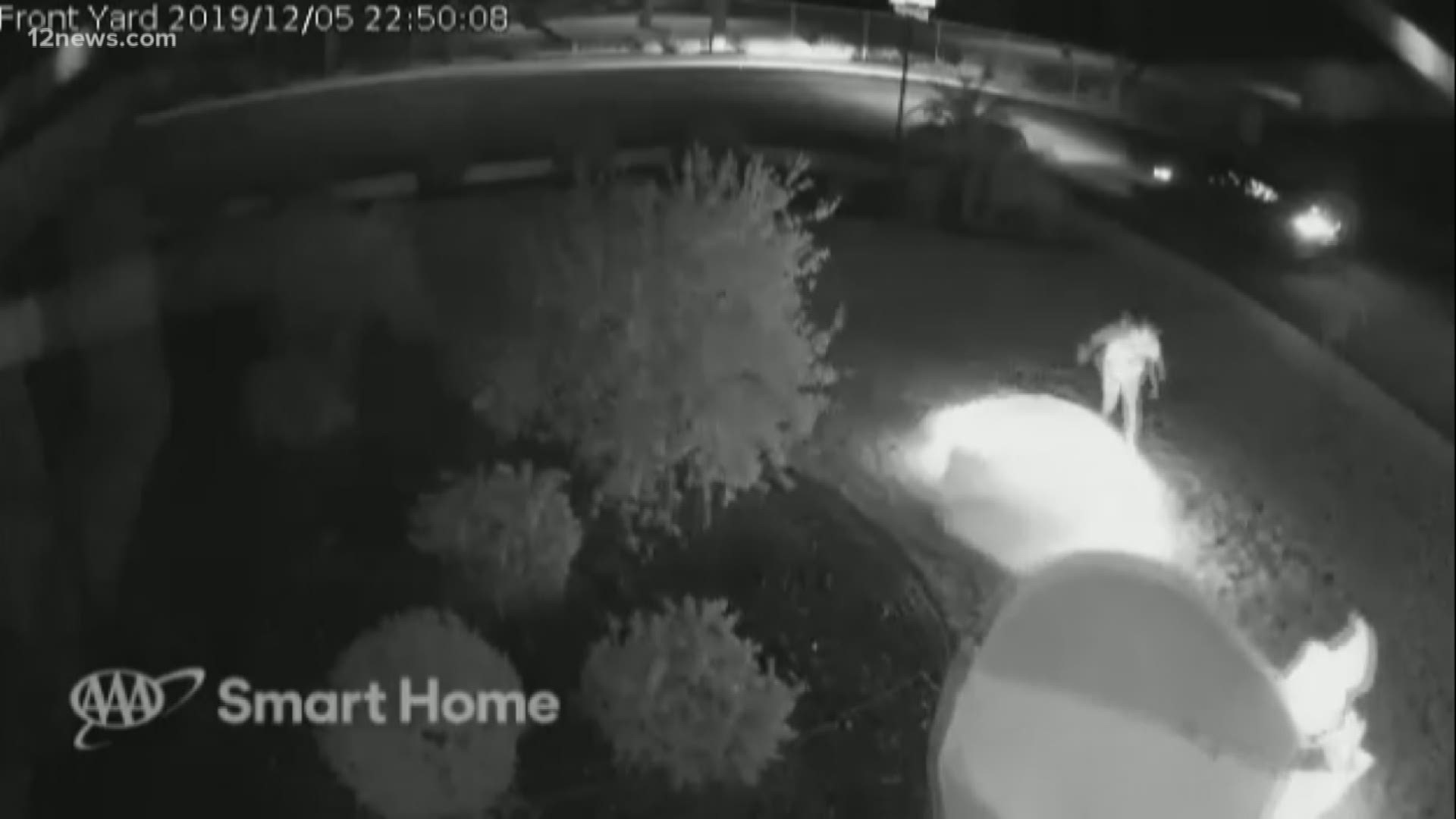 A home security camera caught people stabbing an inflatable Santa and snowman and then running off. They're not the only family targeted this holiday season.