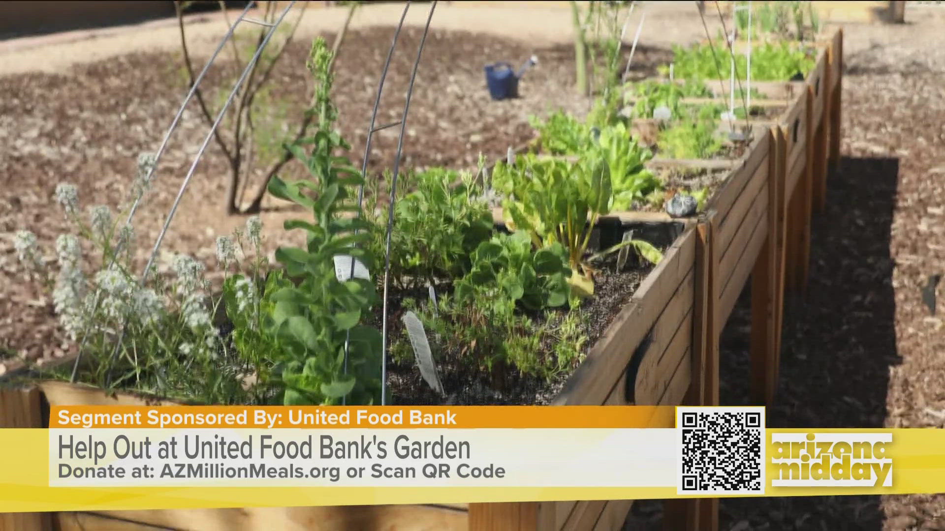 Volunteers share how and why they donate their free time in the United Food Bank garden.