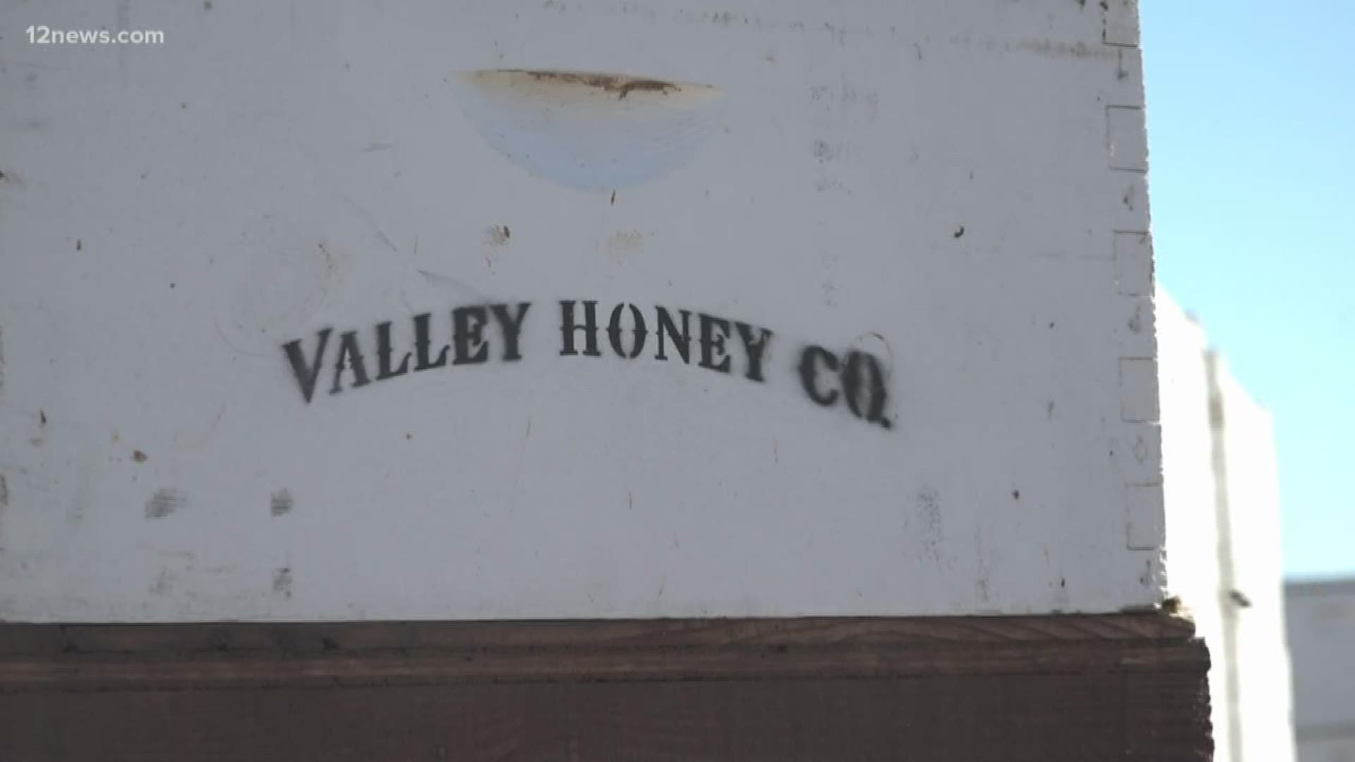 More than $50,000 worth of bees were stolen from an East Valley honey company. Luckily, the bees were returned to Valley Honey Company.