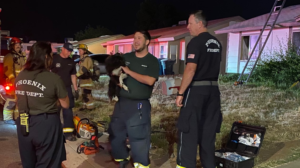 Dog Saved By Phoenix Fire Crews After Home Catches Fire | 12news.com