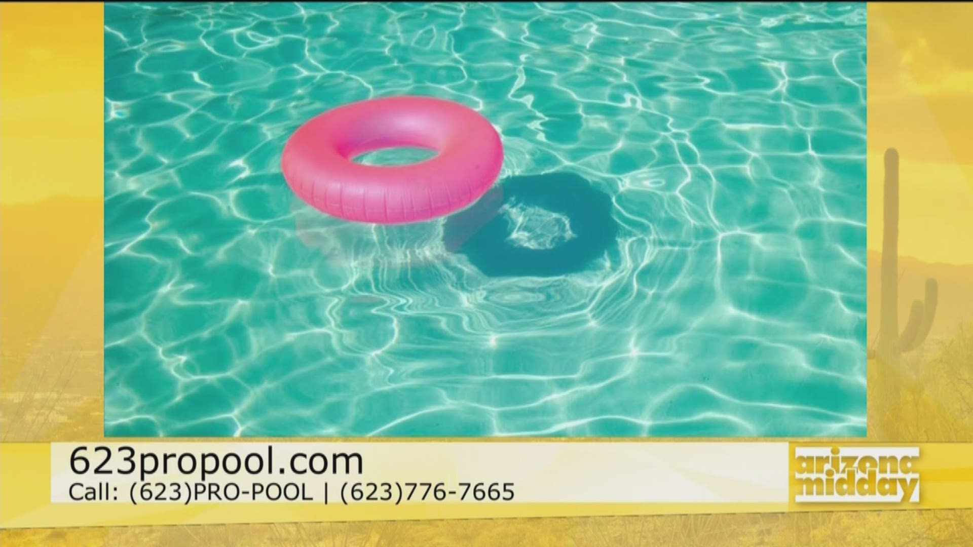 James Cole, owner of The Pool Professionals, is showing us how to keep your pool looking great all summer long