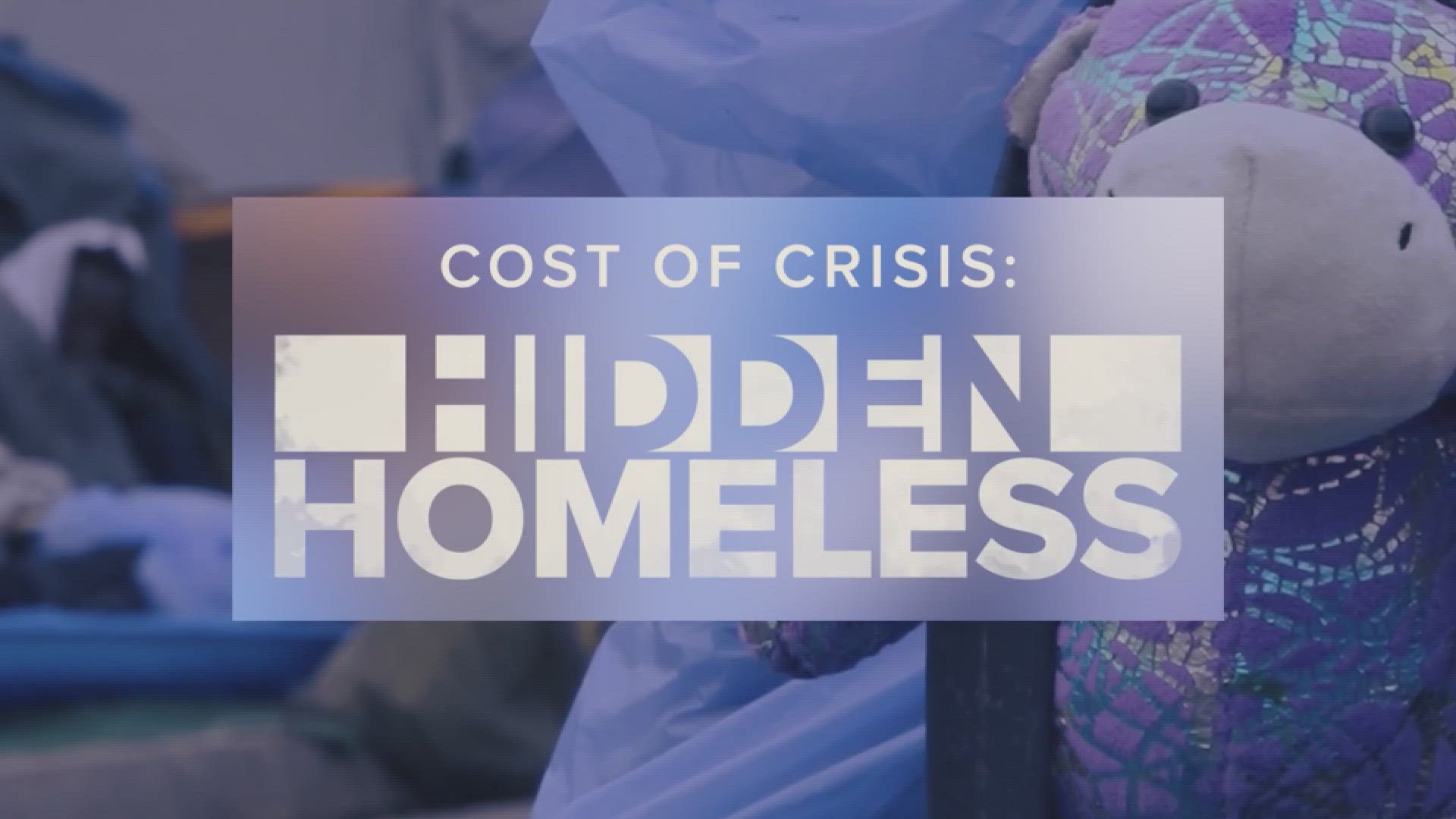 In December, Phoenix City Council reallocated $20 million to a fund dedicated to benefit homelessness and affordable housing.