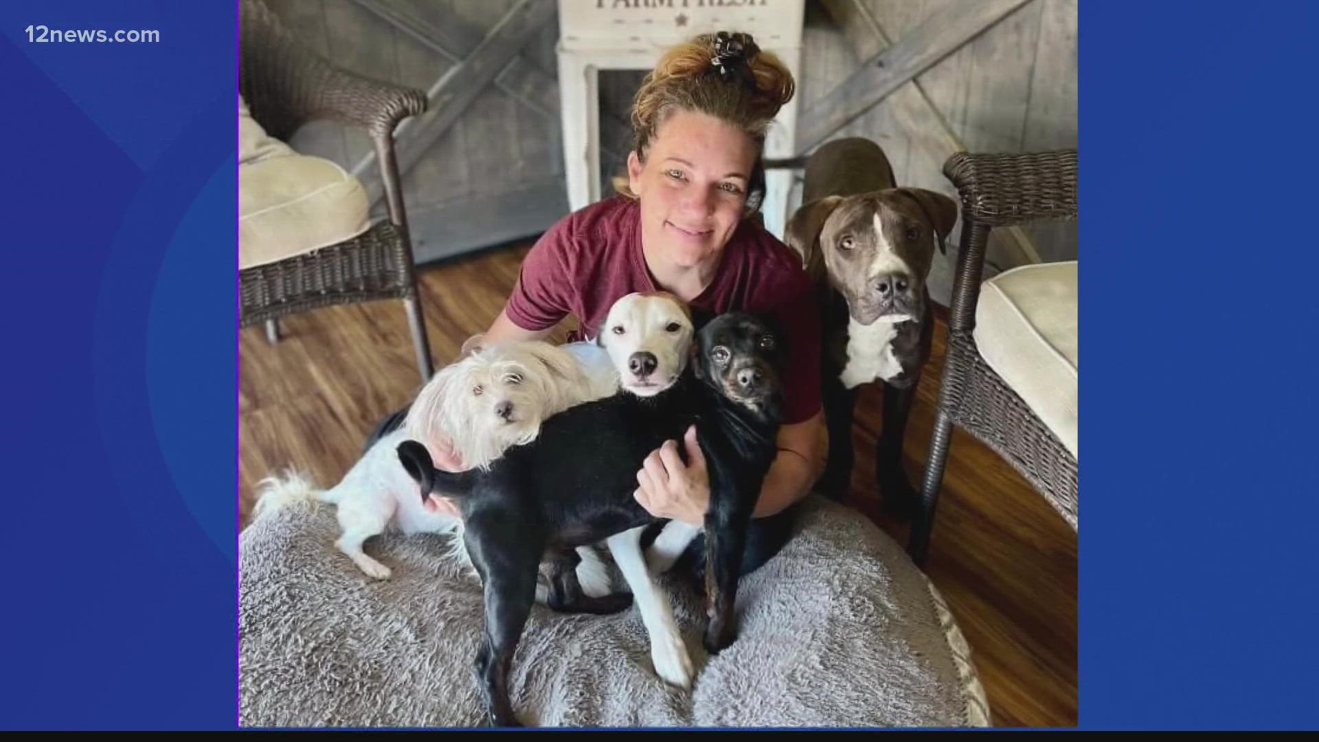 Three weeks ago 11 dogs were stolen from a Chandler home. Four of the dogs were found dumped in a Mesa dog park. The dogs were returned to their owner.