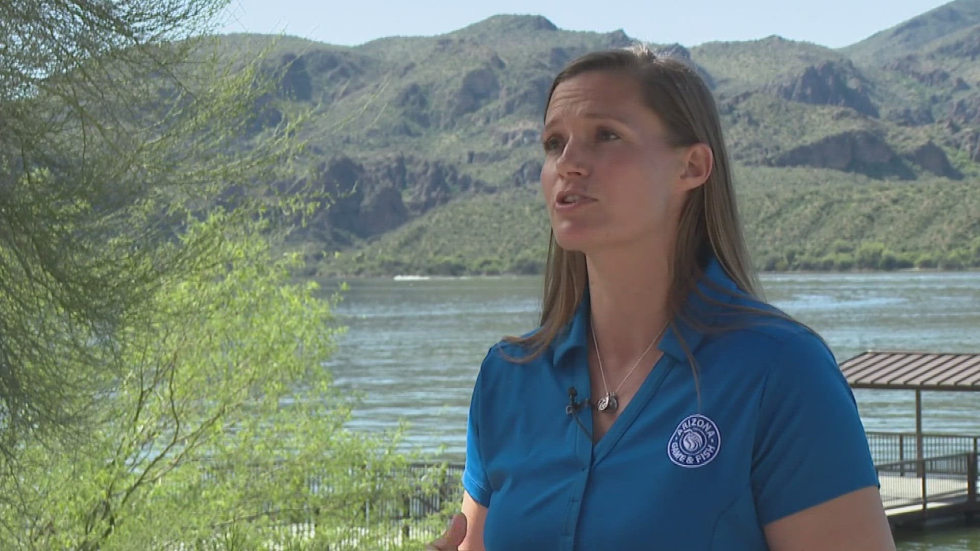 Arizona officials are currently working to solve how to fight golden algae toxic blooms in Salt River connector lakes.