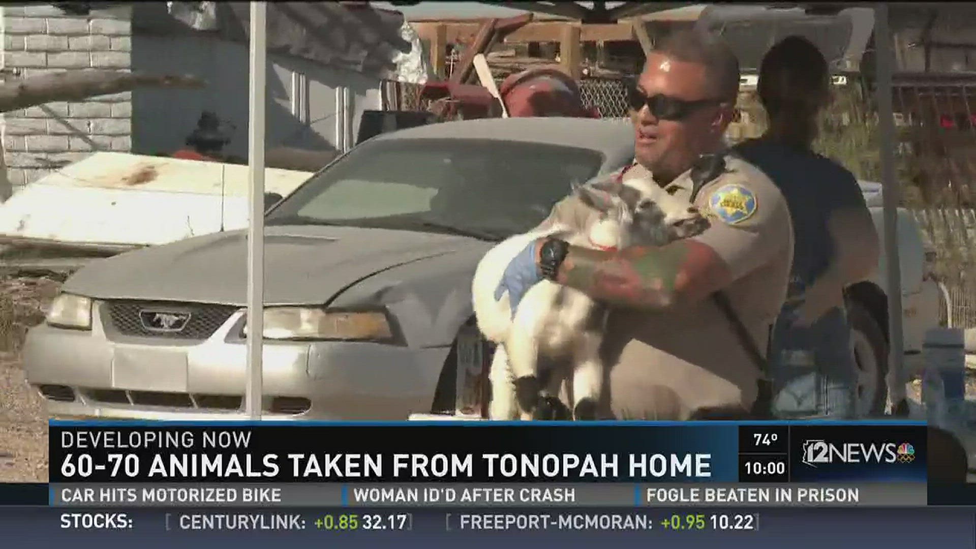 60-70 animals taken from Tonopah home.