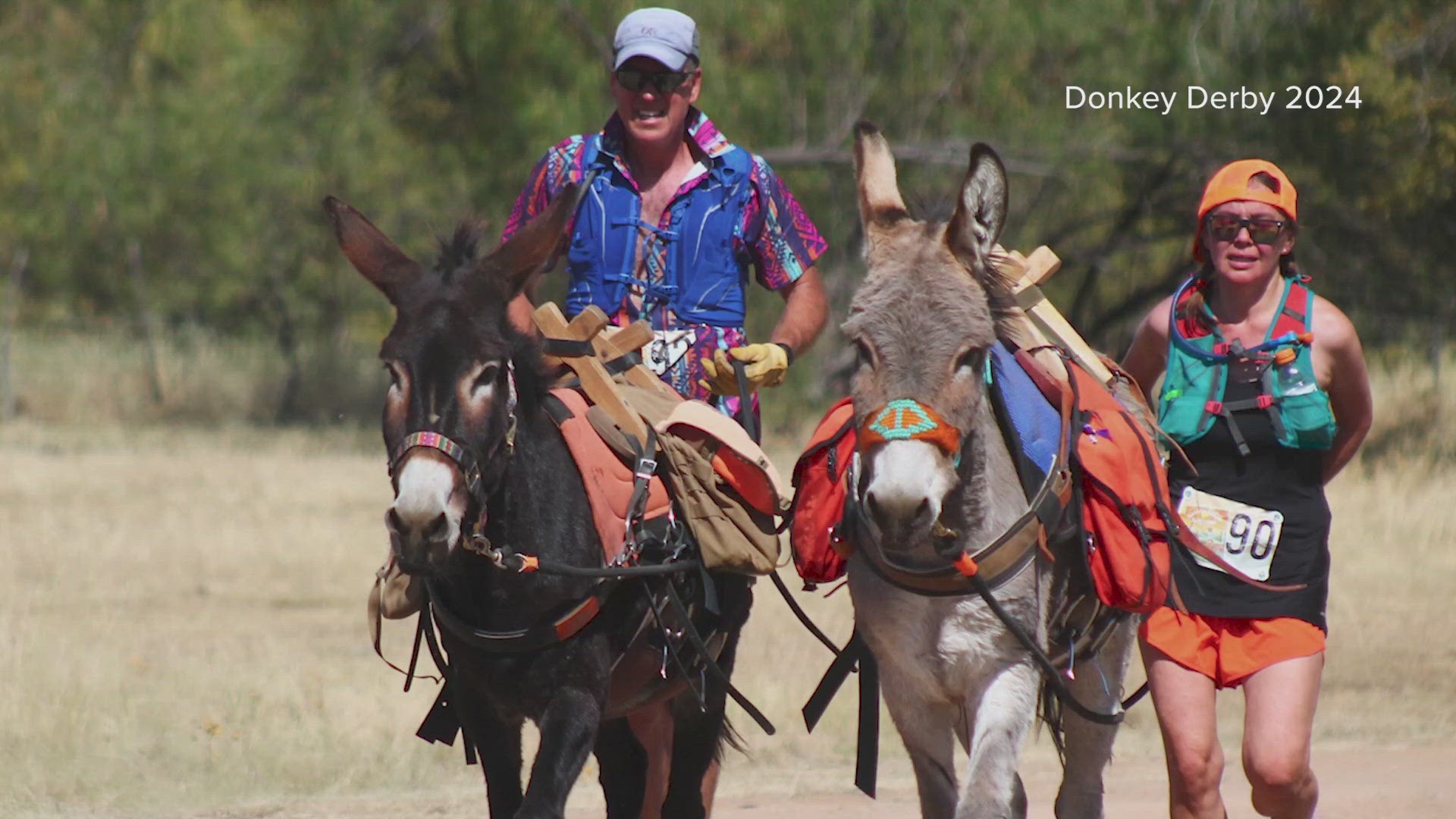 Black Canyon Donkey Derby saddles up for 5th annual race | 12news.com