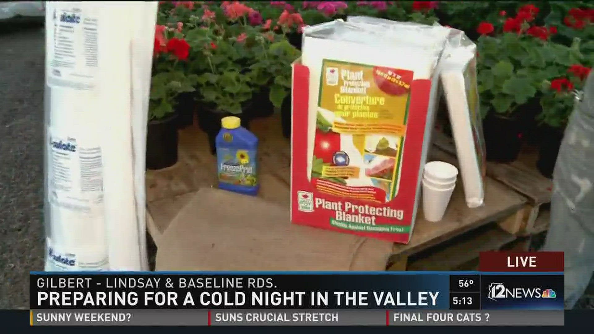 A & P Nursery in Gilbert talks about various items you can use to protect your plants from frost.