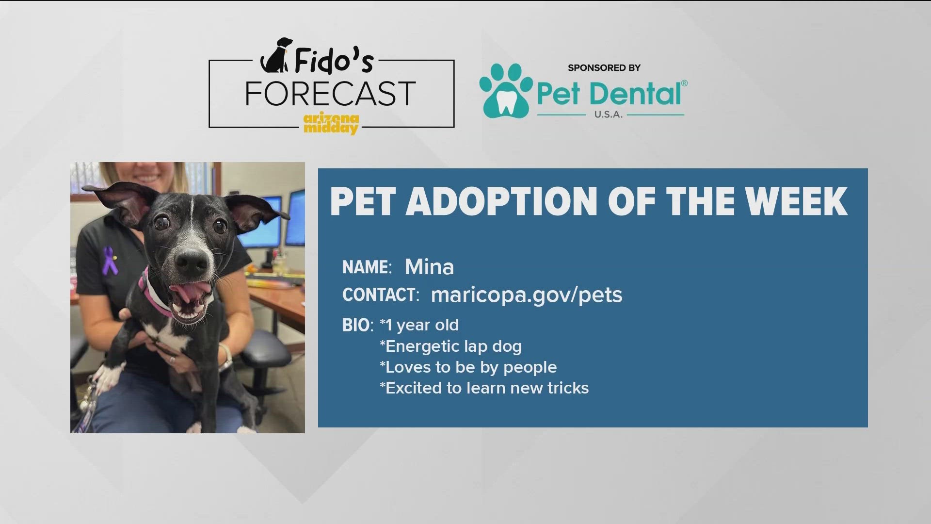 Maricopa Animal Care & Control brought Mina to find her ‘furever’ home and to help Krystle with this weekend's Fido's Forecast.
