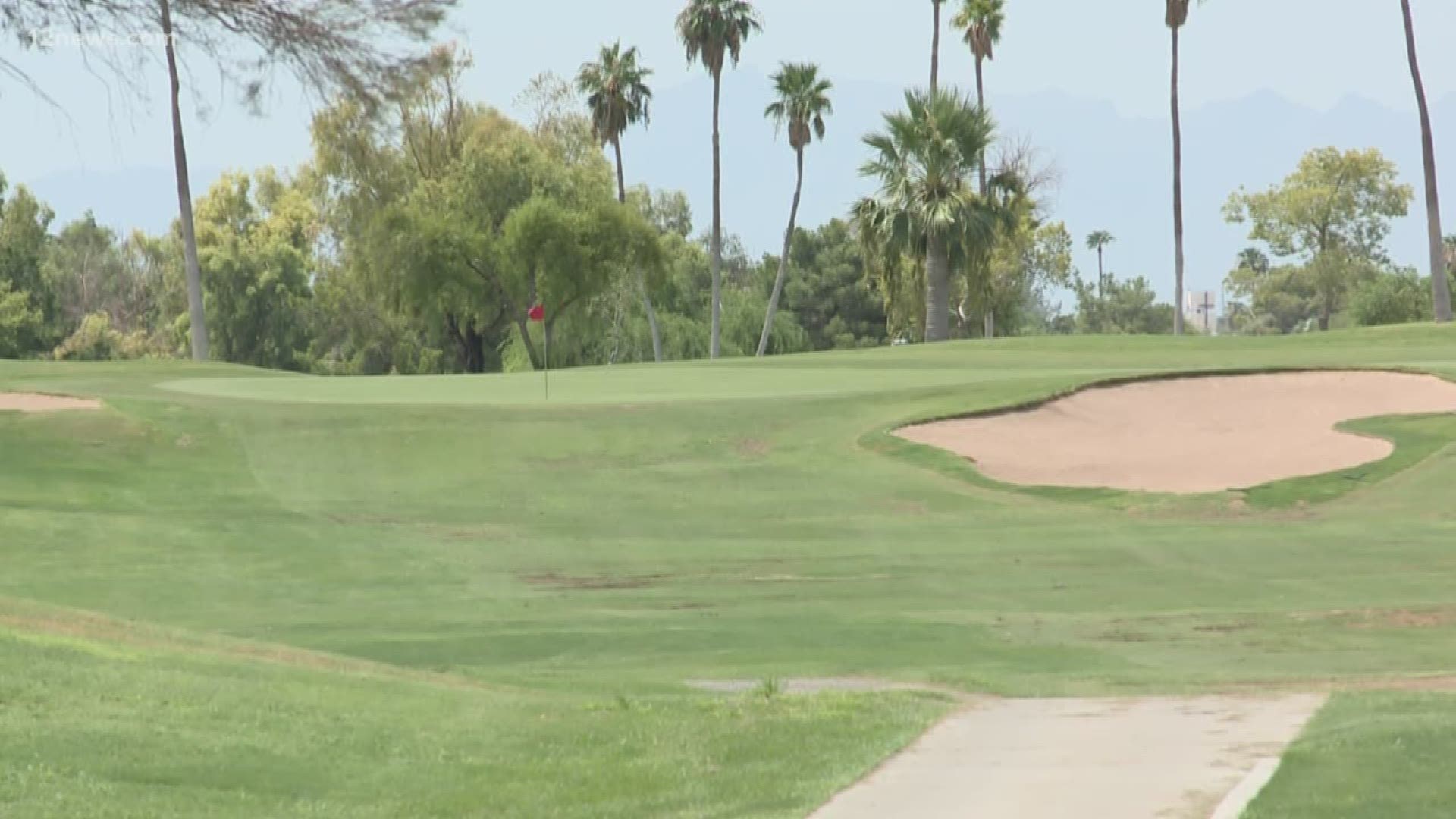 Killer bees attacked two men on a North Phoenix golf course Wednesday morning. We talk to experts on what to if you encounter killer bees while out and about.